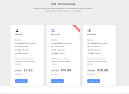 React js template and ui example Pricing Package Table